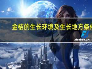金桔的生长环境及生长地方条件