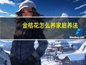 金桔花怎么养家庭养法