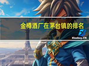金樽酒厂在茅台镇的排名