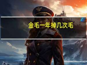 金毛一年掉几次毛