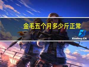 金毛五个月多少斤正常