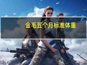金毛五个月标准体重