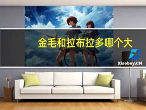 金毛和拉布拉多哪个大