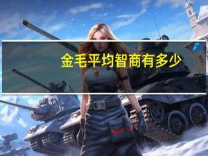 金毛平均智商有多少