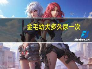 金毛幼犬多久尿一次