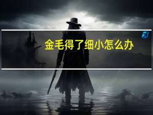 金毛得了细小怎么办