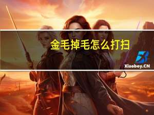 金毛掉毛怎么打扫