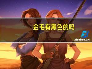 金毛有黑色的吗