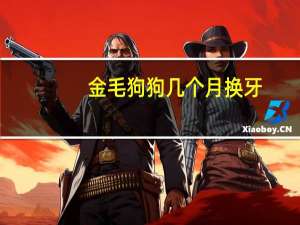 金毛狗狗几个月换牙