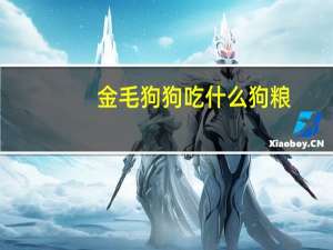 金毛狗狗吃什么狗粮