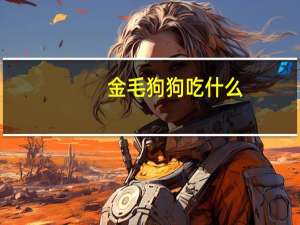 金毛狗狗吃什么