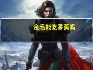金毛能吃香蕉吗