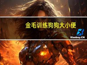 金毛训练狗狗大小便