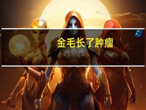 金毛长了肿瘤