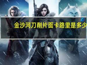 金沙河刀削片面卡路里是多少