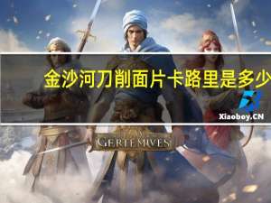 金沙河 刀削面片卡路里是多少