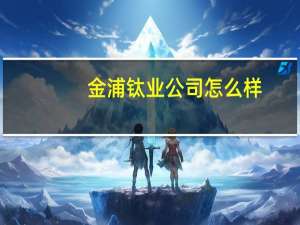 金浦钛业公司怎么样