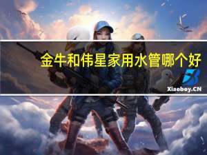金牛和伟星家用水管哪个好