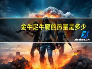 金牛足 牛腱的热量是多少