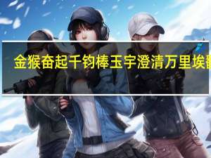 金猴奋起千钧棒玉宇澄清万里埃翻译（金猴奋起千钧棒玉宇澄清万里埃）