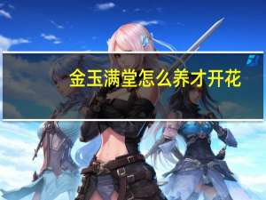 金玉满堂怎么养才开花