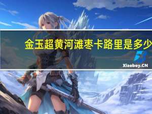 金玉超 黄河滩枣卡路里是多少