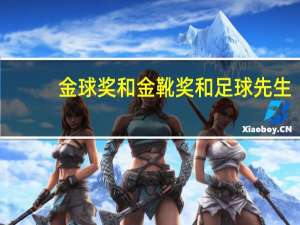 金球奖和金靴奖和足球先生（金靴奖和金球奖）
