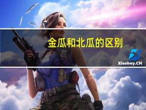 金瓜和北瓜的区别
