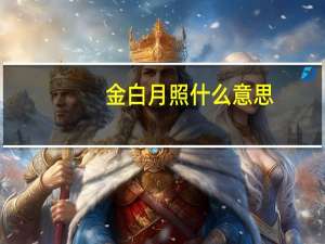 金白月照什么意思