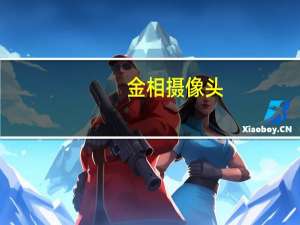 金相摄像头