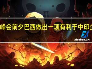 金砖峰会前夕巴西做出一项有利于中印企业的决议