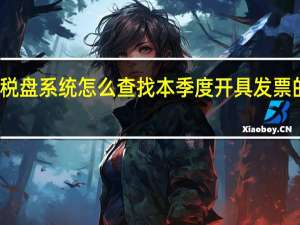 金税盘系统怎么查找本季度开具发票的总金额