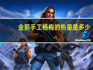 金箭 手工杨梅的热量是多少