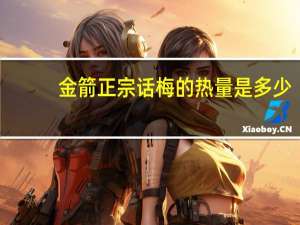 金箭 正宗话梅的热量是多少