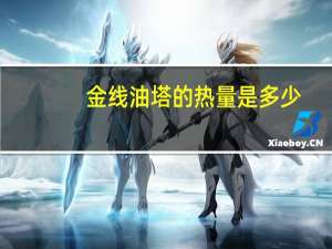 金线油塔的热量是多少