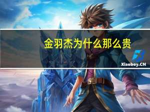 金羽杰为什么那么贵