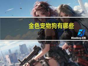 金色宠物狗有哪些