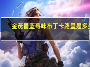 金茂昌 蓝莓味布丁卡路里是多少