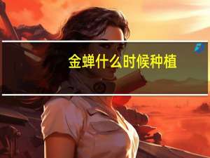 金蝉什么时候种植