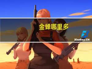 金蝉哪里多