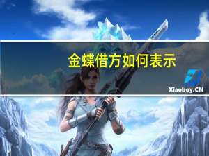 金蝶借方如何表示