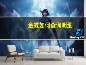 金蝶如何查询明细
