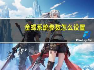 金蝶系统参数怎么设置
