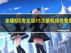 金蝶KIS专业版15注册机 绿色免费版（金蝶KIS专业版15注册机 绿色免费版功能简介）