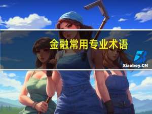 金融常用专业术语,金融常用专业术语