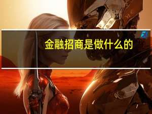 金融招商是做什么的