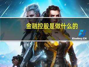 金融控股是做什么的