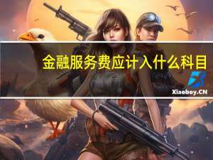 金融服务费应计入什么科目