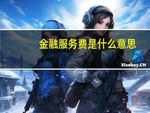 金融服务费是什么意思