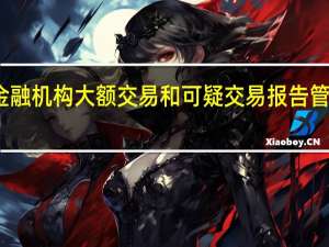 金融机构大额交易和可疑交易报告管理办法